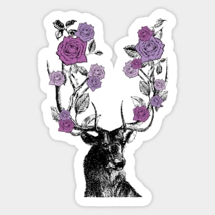 Stag and Roses | Stag and Flowers | Purple Roses | Sticker